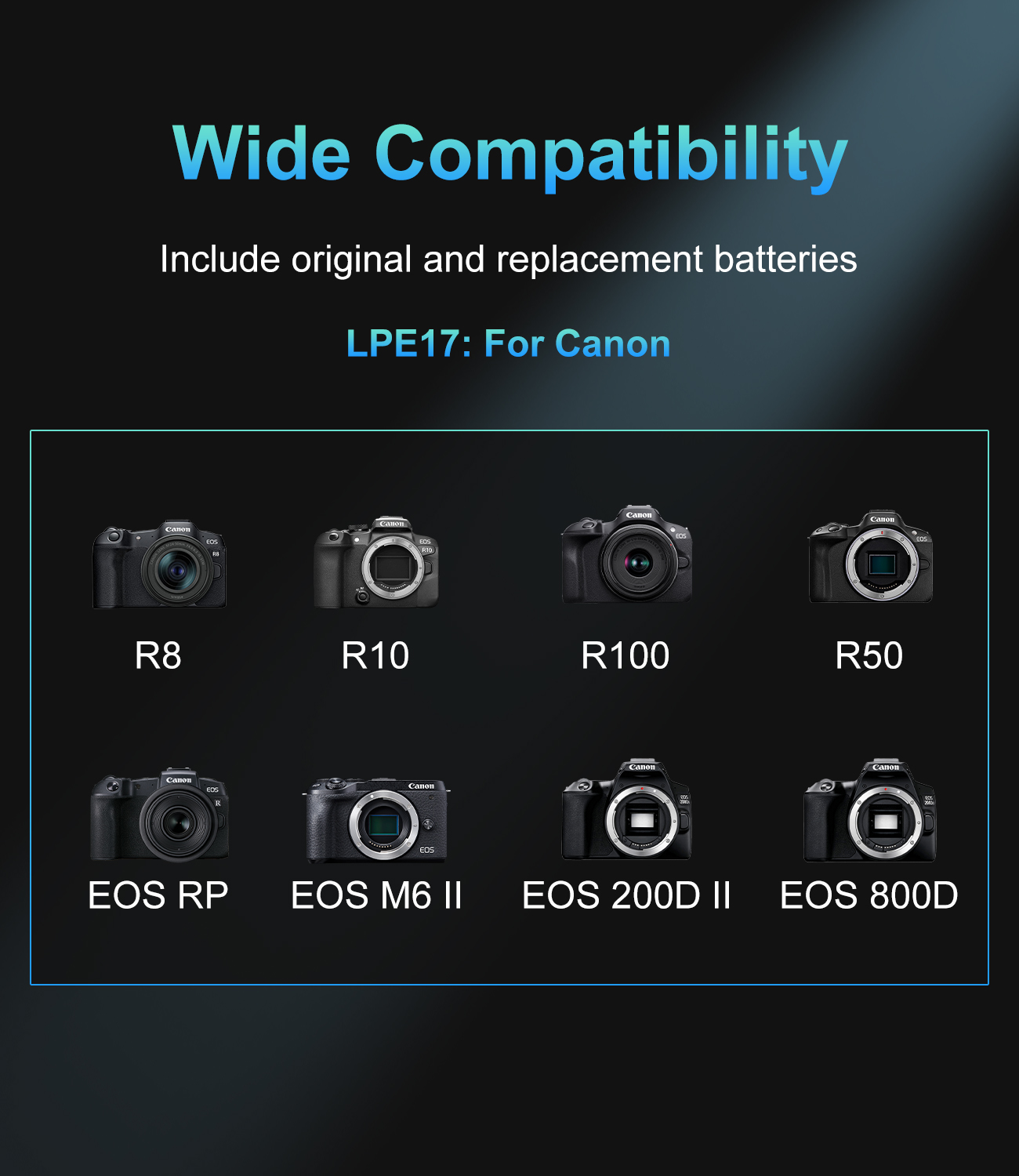 20W USB-C PD Dual Slot Charger - Canon Camera Eos R8 评论和价格
